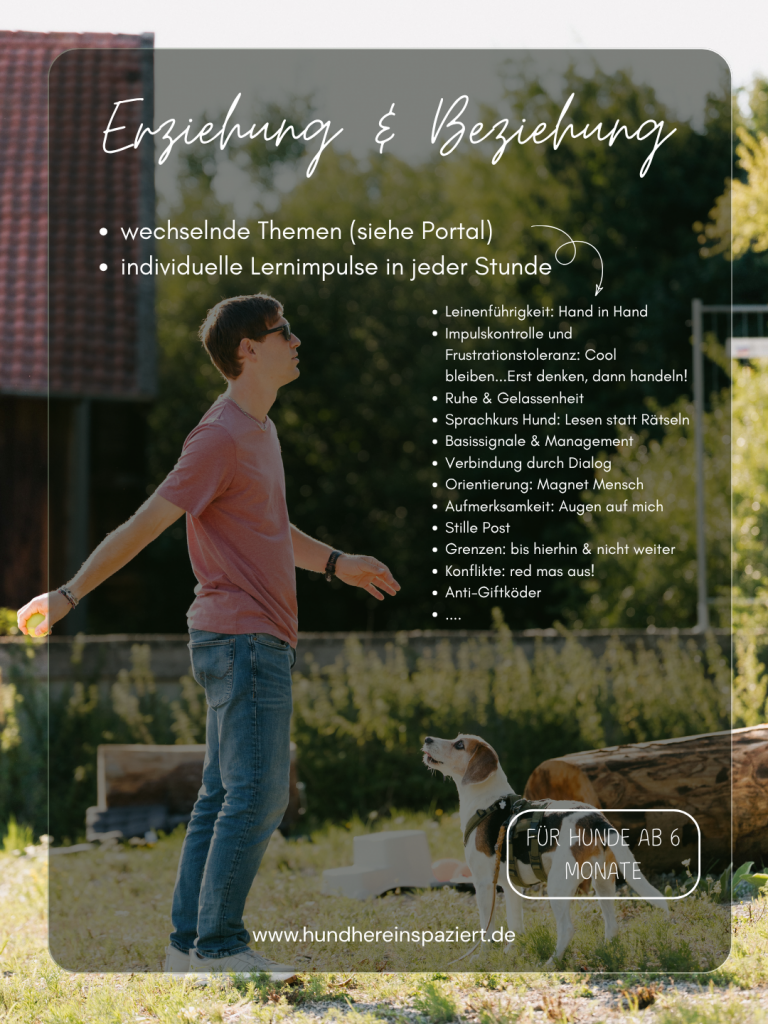 Stundenangebot - 3