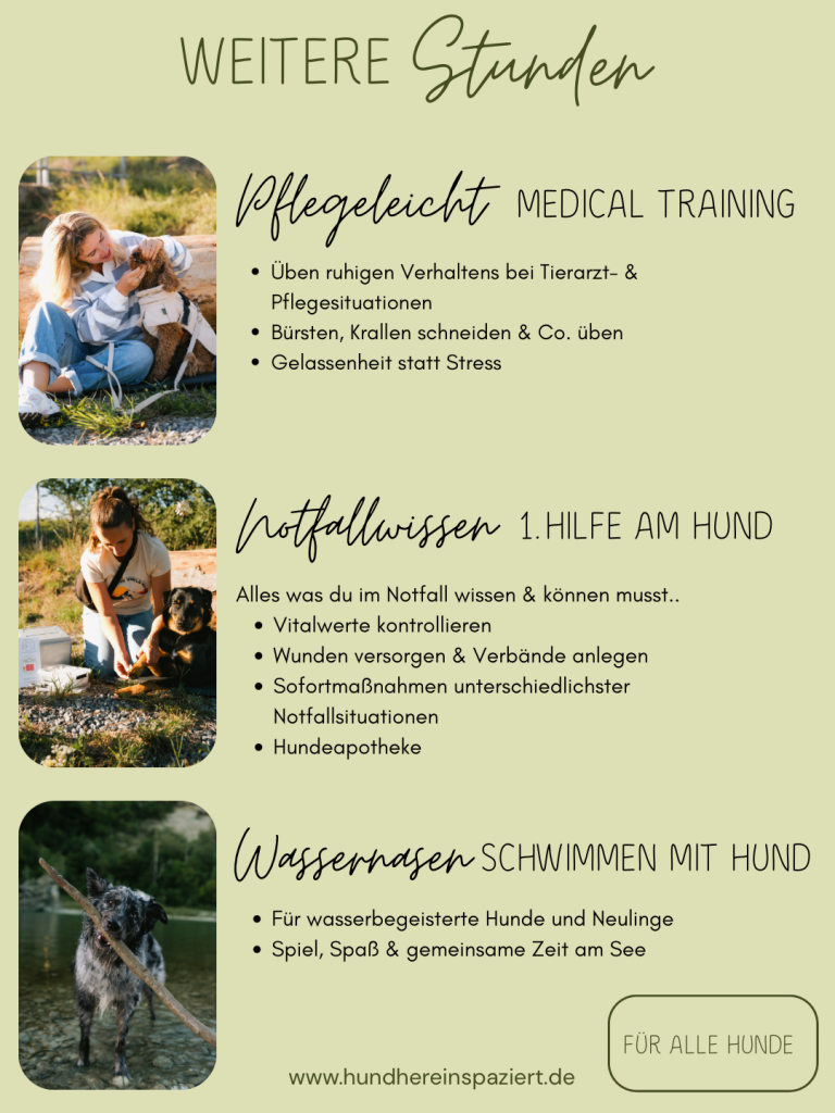 Stundenangebot - 7