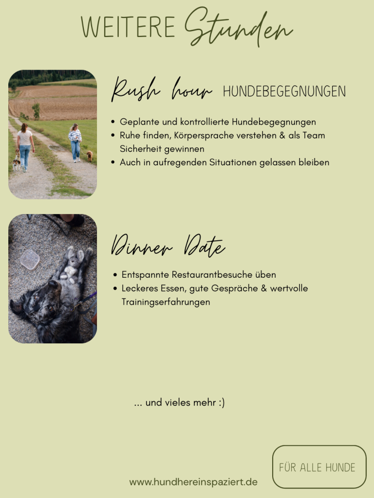 Stundenangebot - 8